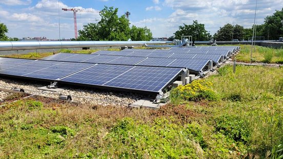 Eine gelungene Kombination aus Solar- und Gründach in der Rothenburger Straße in Nürnberg